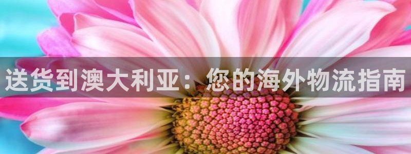 公海赌赌船官网图标