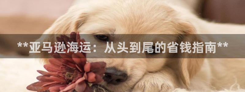公海赌赌船官网jc710 下载