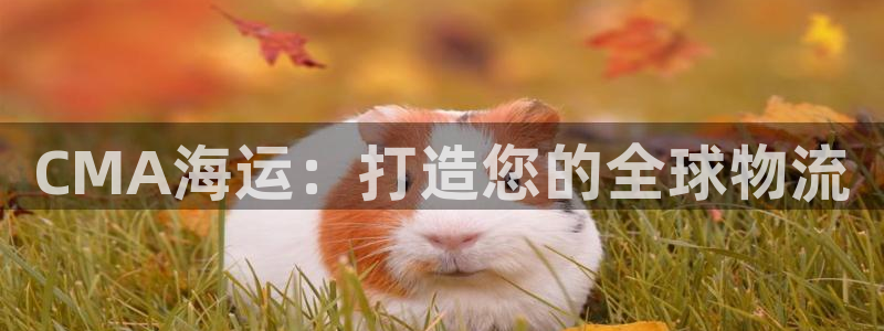 公海船赌网站是多少