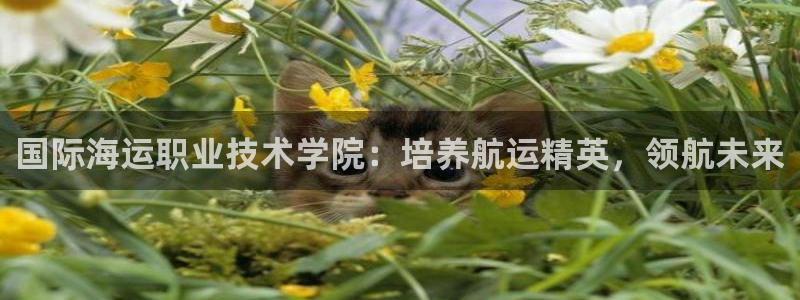 公海 赌船710手机版下载官方