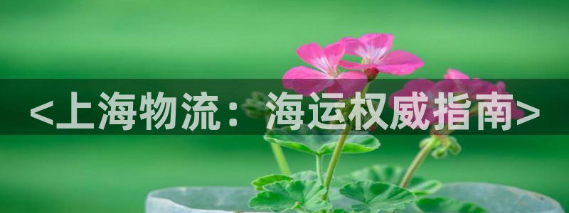 公海赌赌船官网是真的吗