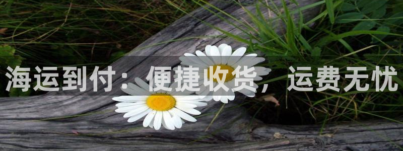 公海赌赌船手机下载