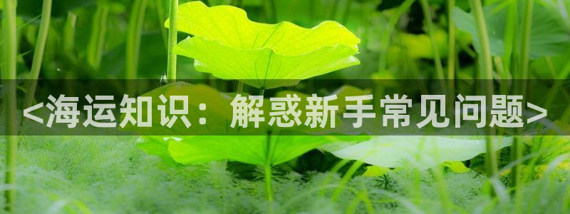 欢迎来公海欢迎来到赌船!