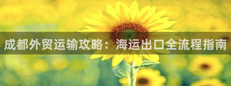 公海赌钱很大吗