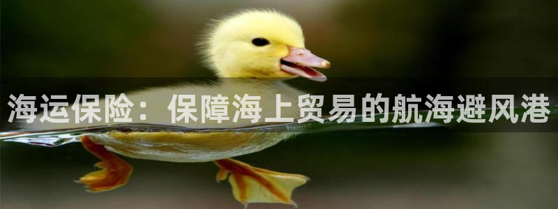 欢迎来到赌船公海710