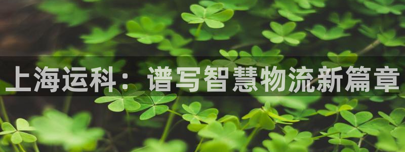 公海赌赌船快速充值