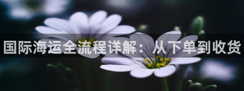 在公海赌博不违法吗