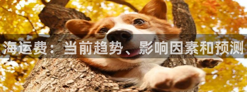 公海赌赌船jcjc710
