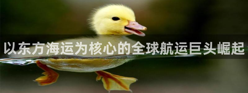 公海赌钱算合法收益吗