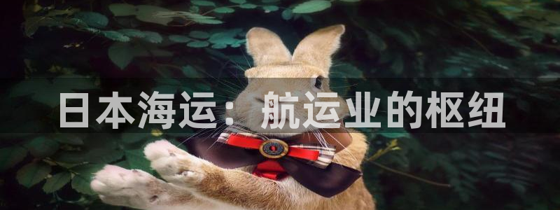 710公海赌赌船有总代理吗