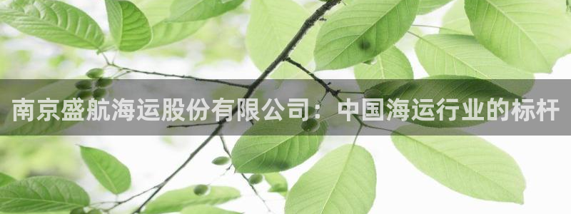 公海赌钱很大吗