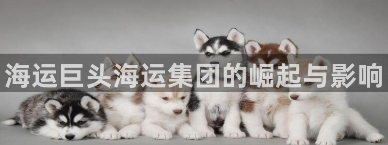 欢迎来到公海7108