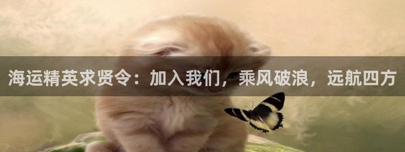 欢迎来到公海堵船