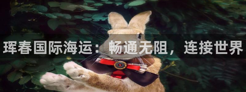 欢迎你来到公海赌