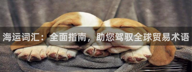 公海欢迎来到赌船710
