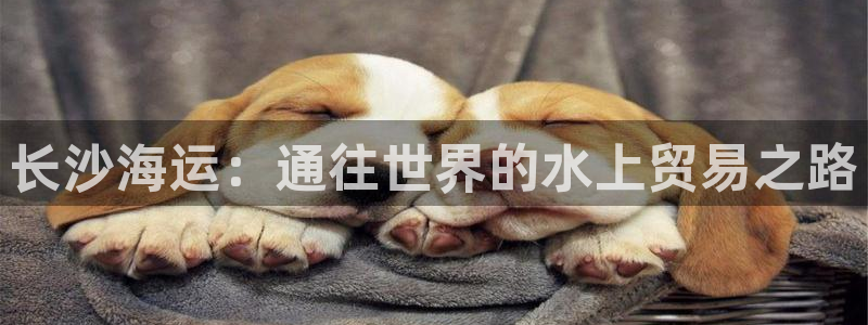 欢迎你来到 公主的海岛