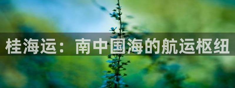 欢迎您来到公海欢迎来到赌船