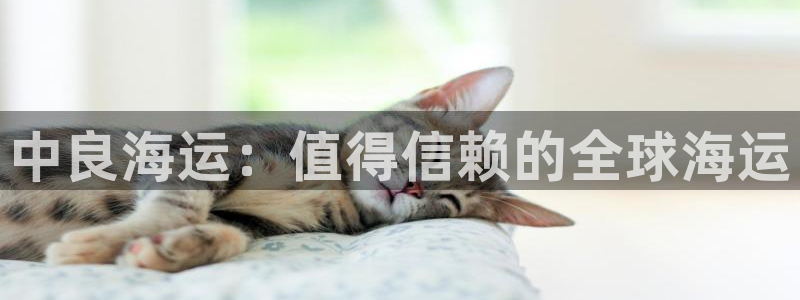 欢迎你来到公海赌