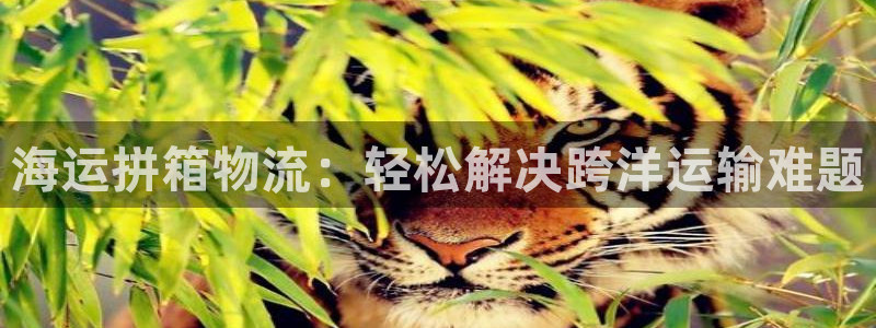 欢迎你来到公海欢迎你来到赌船701