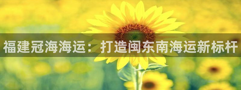 公海赌赌船系统维护要多久