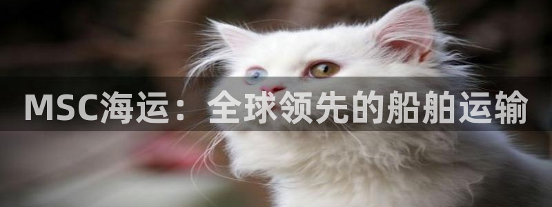 公海赌钱违法吗
