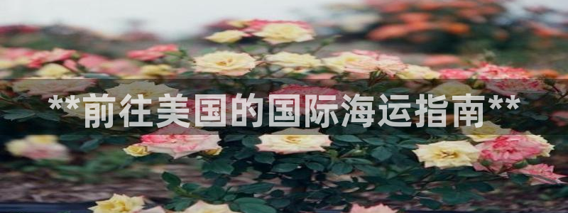 欢迎来到g港