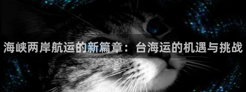 欢迎你来到 公主的海岛