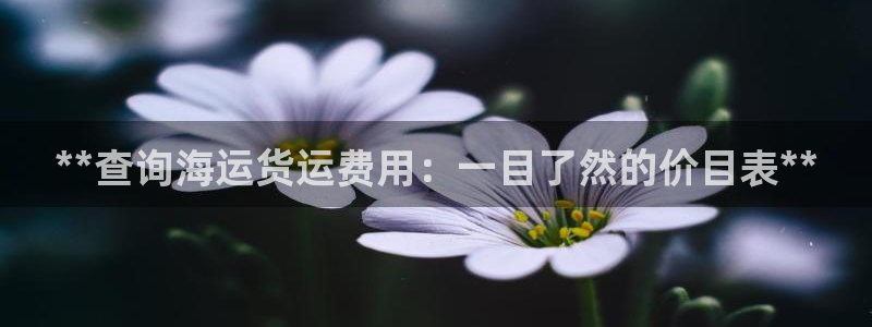 公海赌赌船官网是真的吗