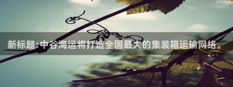 欢迎来到大海