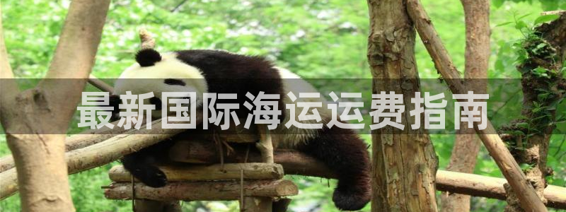 公海赌博怎么处理