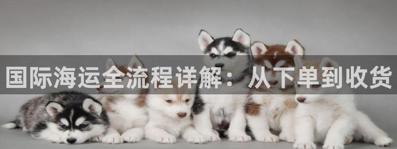 公海赌博为什么没人管