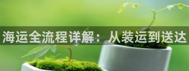 公海赌赌船最新版本更新内容