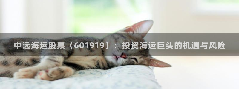 公海赌赌船快速充值