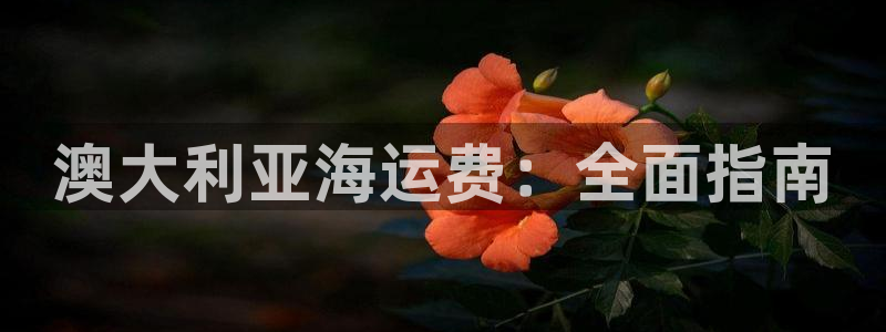 欢迎来到海边