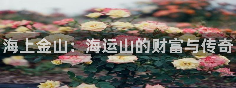 710公海赌赌船有总代理吗