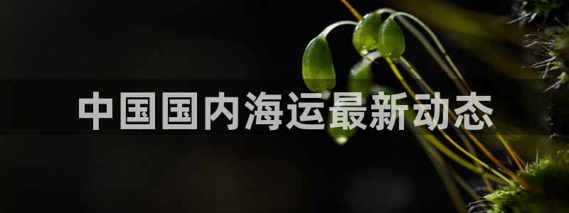 欢迎来到 公园