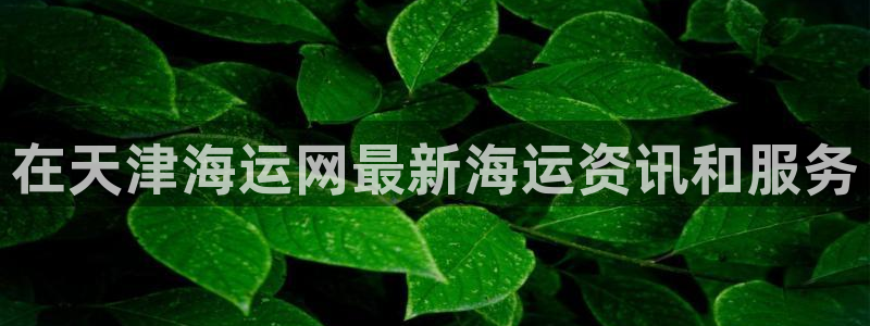 公海 赌船710手机版下载