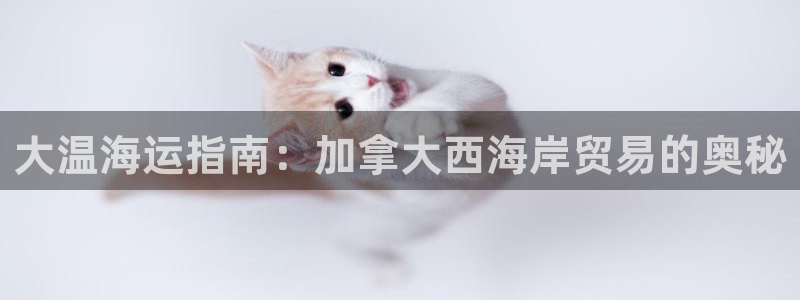 公海赌赌船快速充值