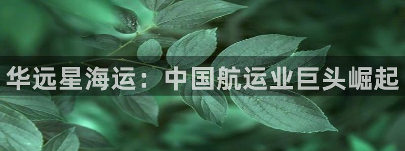 去公海赌博合法吗