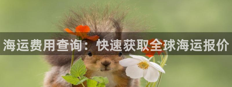 欢迎来到公赌船