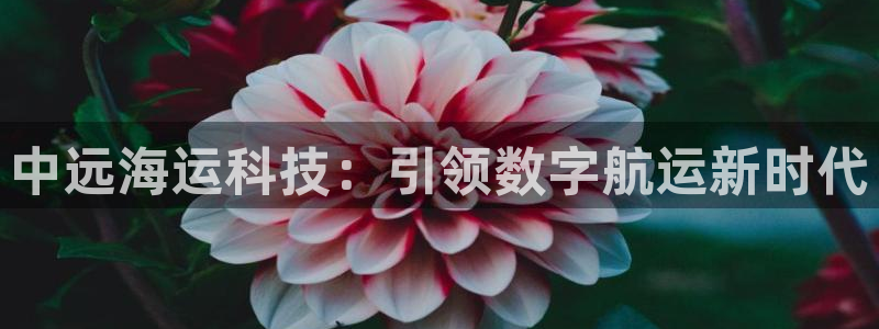 公海欢迎来到赌船710