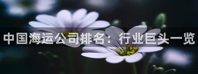 欢迎您来到公海欢迎来到赌船