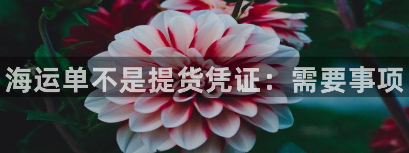 欢迎来到公海7108