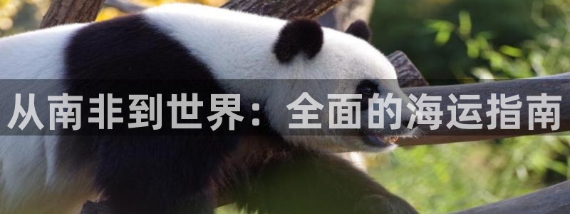 710公海赌赌船有总代理吗