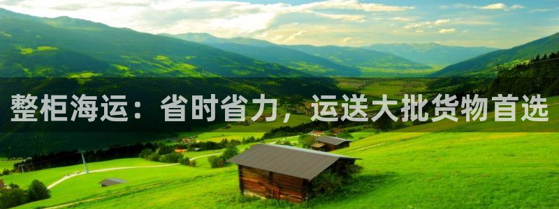 公海赌赌船官网图标