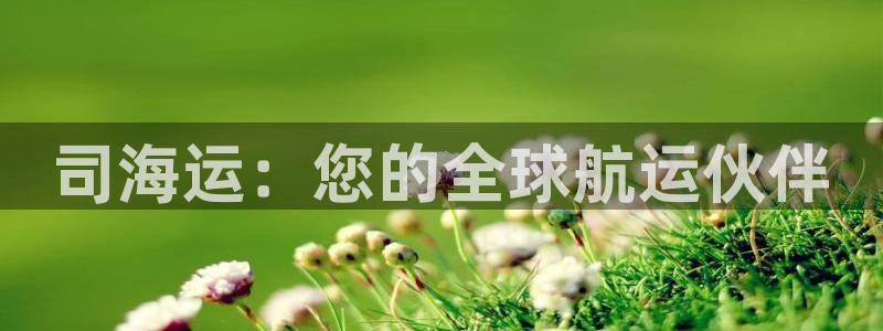 公海赌赌船官网