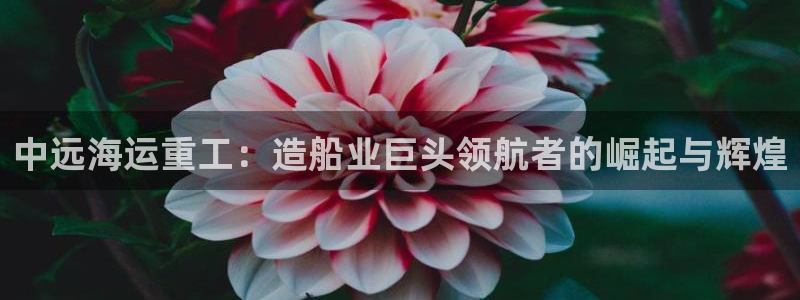 欢迎您来到公海欢迎来到赌船